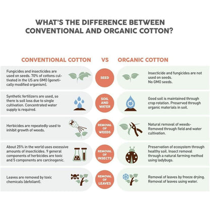 2-Pack Daily Comfort Women Underwear - NextMamas